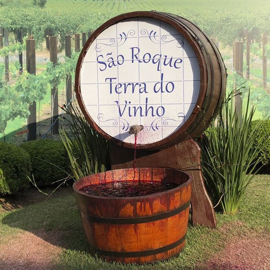 Bate e volta da Rota do Vinho - São Roque (26 Abril de 2025)