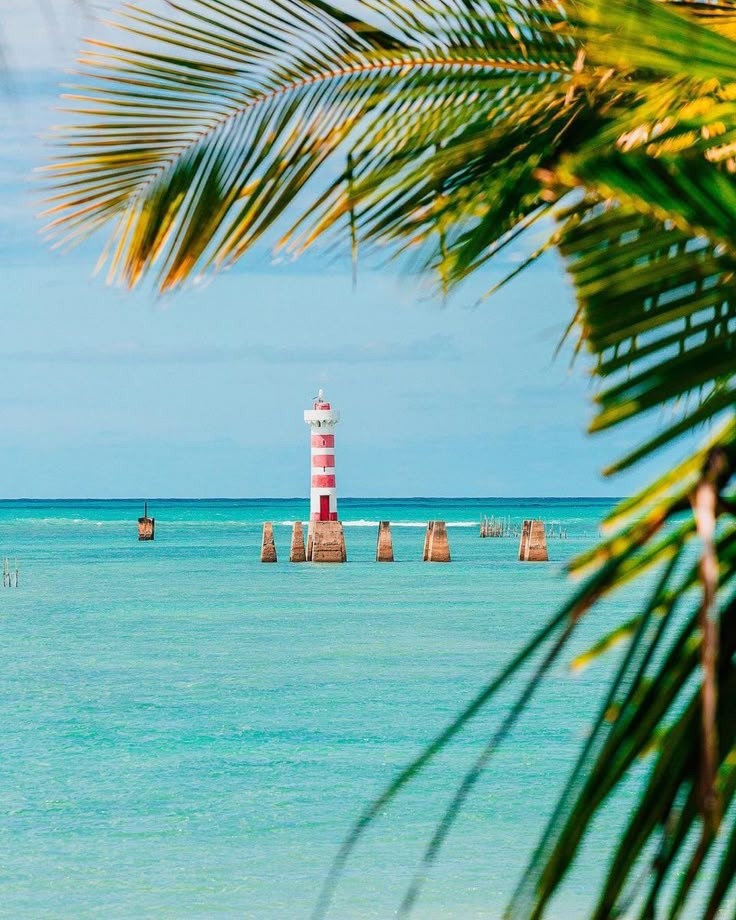 Maceió (22 a 28 de Novembro 2025)